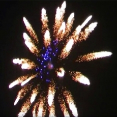 Blue Center Farfalle 5