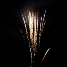 Brocade Crown Mines, 1,9' - 8 sh