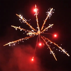 Colorful Taifun Palms, 25 sh