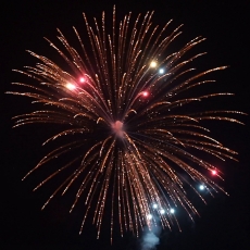 Fresh Color King-Willow 6