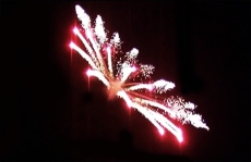 Italienische Feuerblume 5