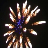 Blue Center Farfalle 5